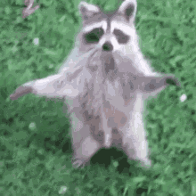 I Love You GIF
