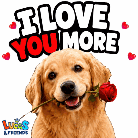 I Love You I Love You More GIF
