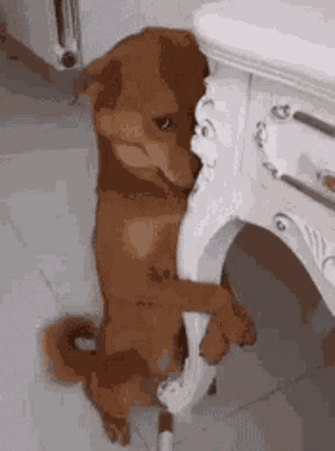 I Might Miss You All Day GIF