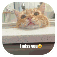 I Miss You I Love You Sticker
