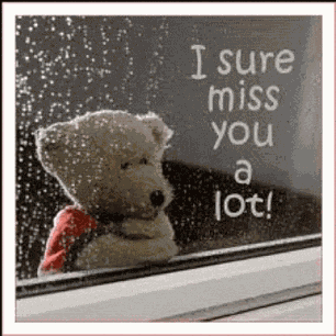 I Miss You Images Sad Teddy Bear Meme