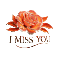 I Miss You Sticker