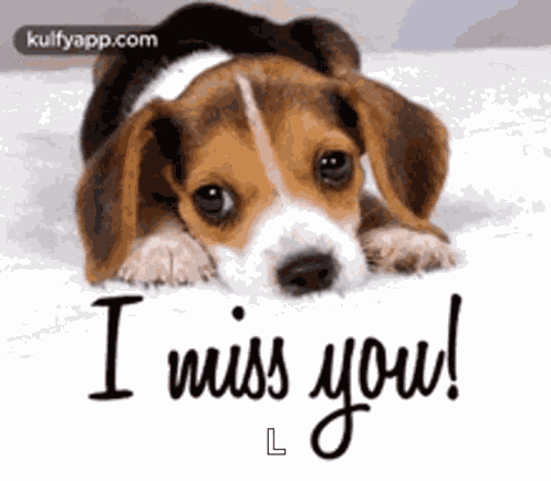I Miss You Missing You GIF