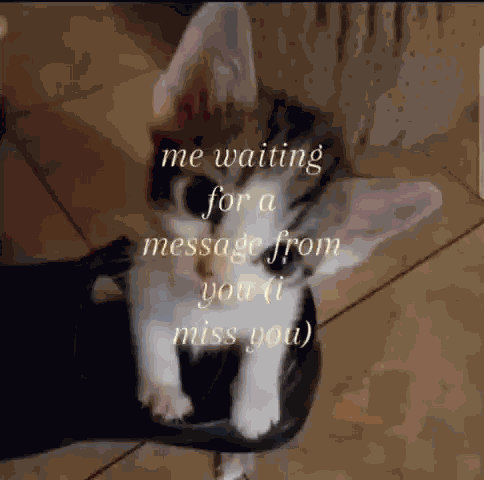 I Miss You GIF