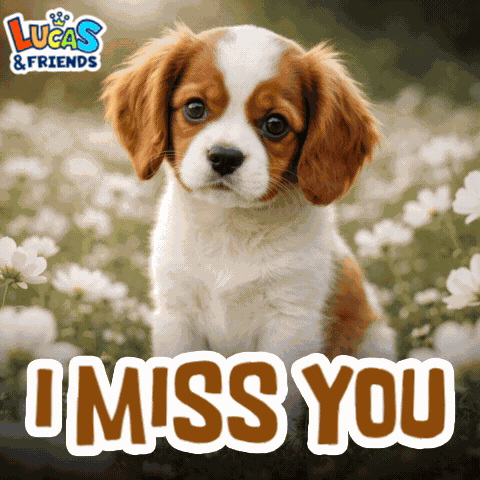 I Miss You So Much I Miss You Too GIF