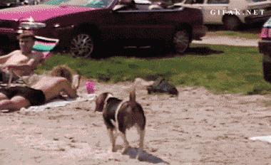 I Need This GIF