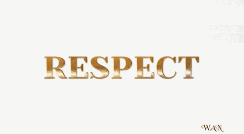 I Respect You Respect GIF