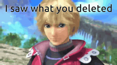 I Saw What You Deleted Shulk GIF