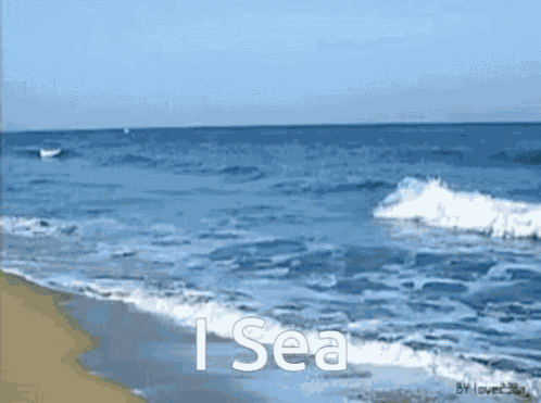 I See I Sea GIF