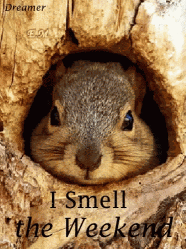 I Smell The Weekend Sniff GIF