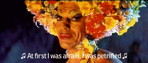 I Will Survive Priscilla Queen Of The Desert GIF