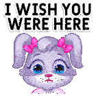I Wish You Were Here I Miss You Sticker