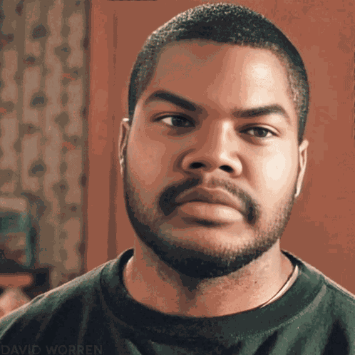 Ice Cube What GIF