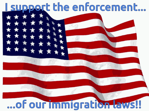 Ice Enforcement GIF