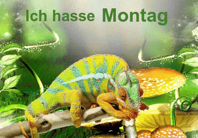 Ich Hasse Montag GIF