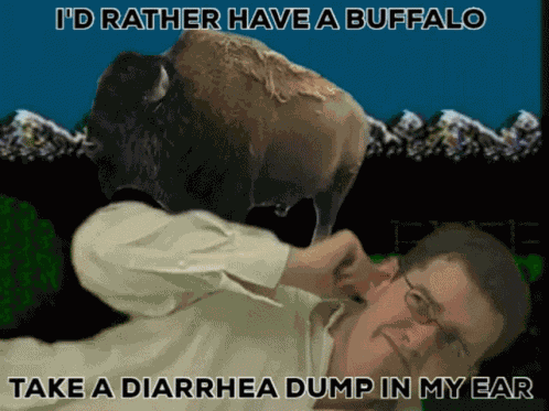 Id Rather Have A Buffalo Take A Diarrhea Dump In My Ear Avgn GIF