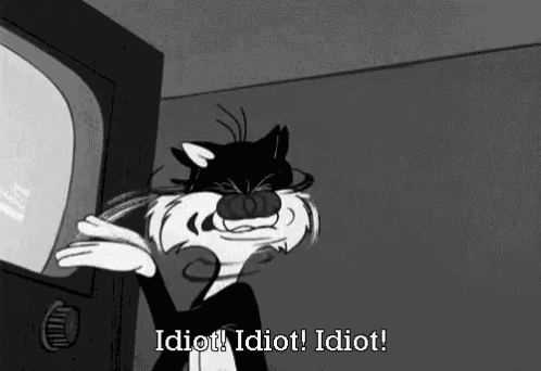 Idiot Stupid GIF
