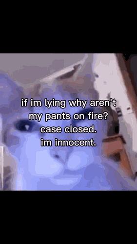 If Im Lying Cat Innocent Cat GIF