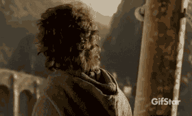 Ihor Frodo GIF