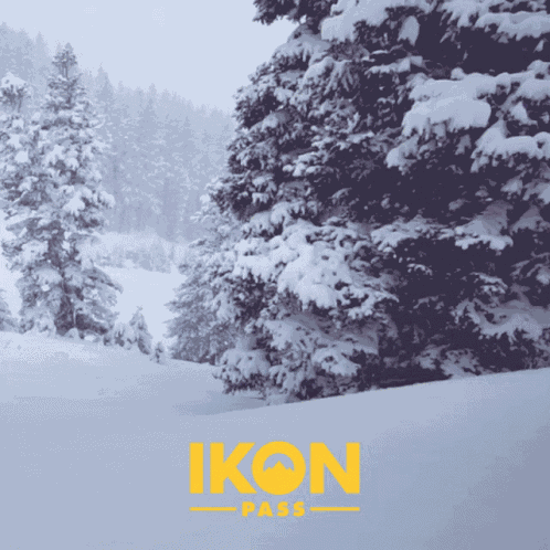 Ikon Pass Icon Pass GIF