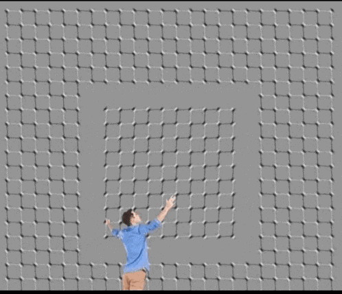 Illusion Optical Illusion Meme