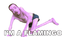 Im A Flamingo Ricky Berwick Sticker
