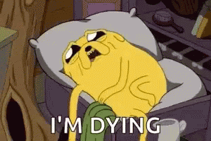 Im Dying Jake GIF