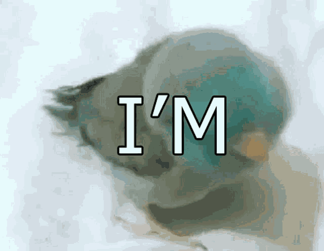 Im Fabulous Dance GIF