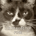 Im Good Nah Im Good GIF