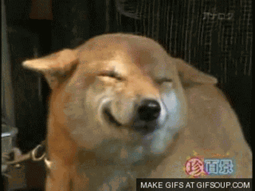 Im Not Happy But Im Smiling GIF