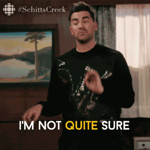 Im Not Quite Sure David Rose GIF