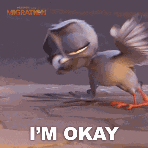 I'M Okay Pigeon GIF