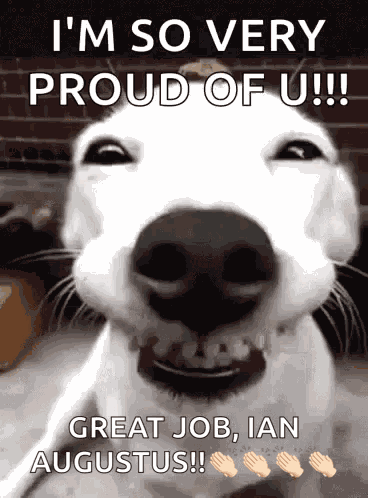 Im So Proud Of You Artie J Smile GIF