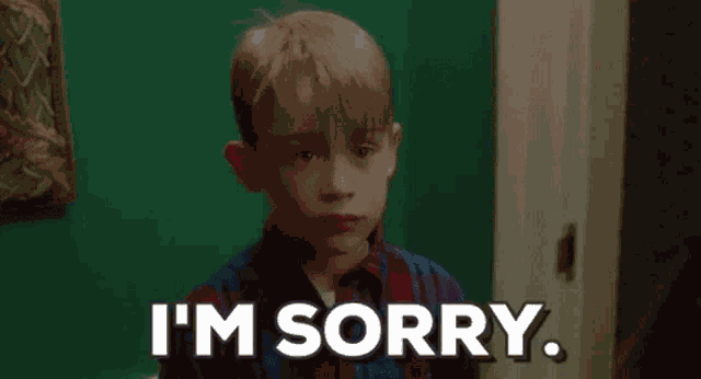 Im Sorry Home Alone GIF