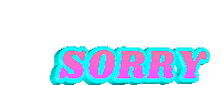 Im Sorry Sorry Sticker