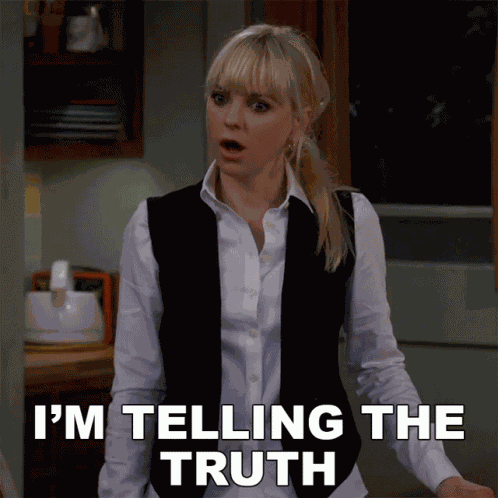 Im Telling The Truth Anna Faris GIF