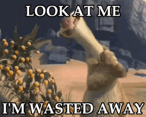 I'M Wasted Away Fat GIF
