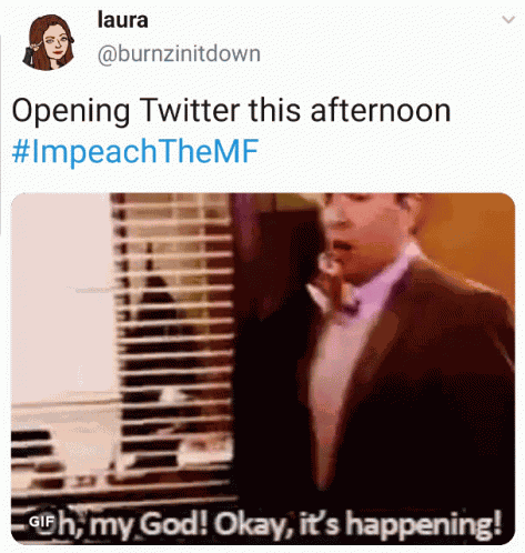 Impeachment Trump GIF