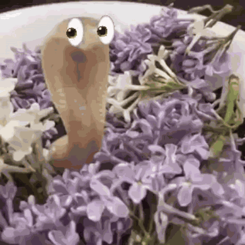 In Flowers Looking Around GIF