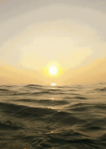 In The Water Sea GIF