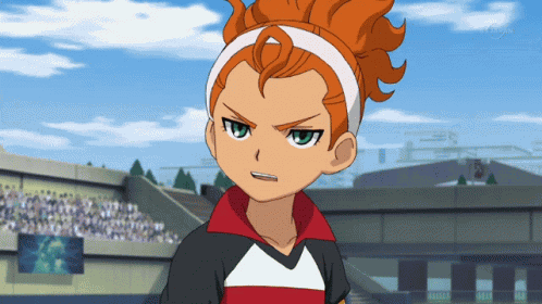 Inazuma Eleven Go Inago GIF