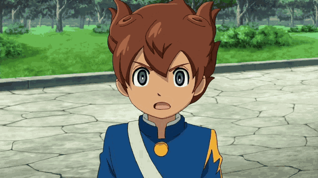 Inazuma Eleven Go Inago GIF