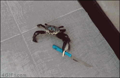 Incentraipark Crab GIF