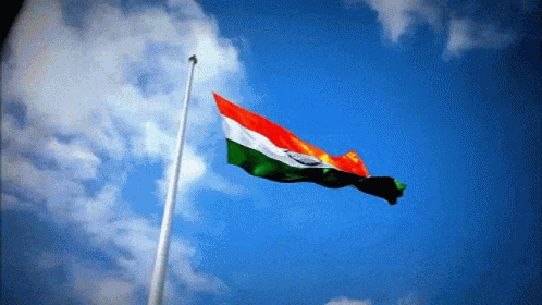 India Flag India Country GIF