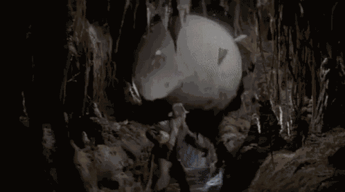 Indiana Jones Indiana Balls GIF