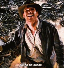 Indiana Jones Indiana Jones And The Raiders Of The Lost Ark GIF