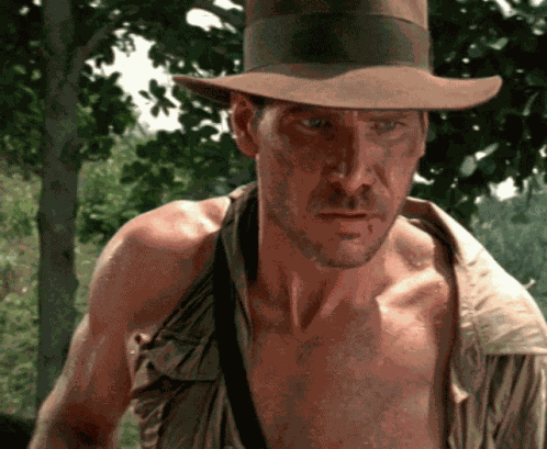 Indiana Jones Smiling GIF