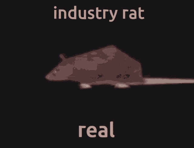Industry Rat GIF