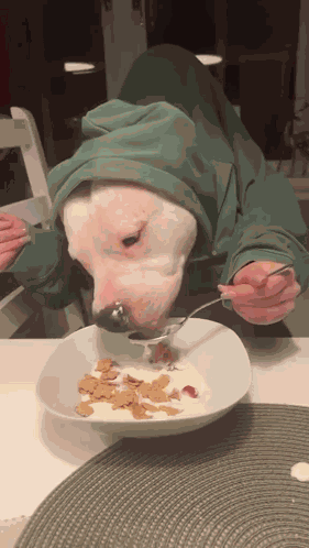 Inefablejuly Dog Eating Cornflake Bread GIF
