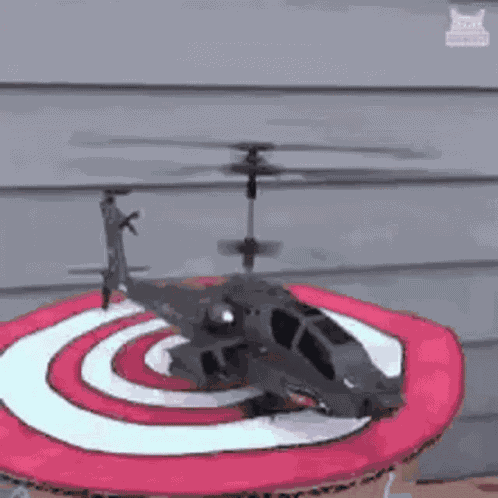 Inefablejuly Dog With A Helicopter Station On His Head GIF